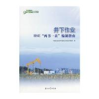 中国石油HSE管理丛书 井下作业HSE“两书一表”编制指南` 9787502169350