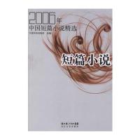 2006年中国短篇小说精选