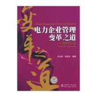 电力企业管理变革之道——电网企业
