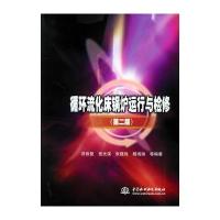 循环流化床锅炉运行与检修(第二版)