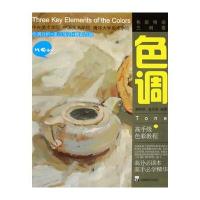 色彩特训三剑客 色调