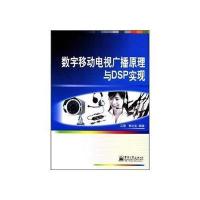 数字移动电视广播原理与DSP实现