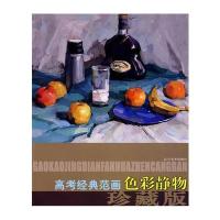 高考经典范画珍藏版—色彩静物