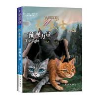 猫武士三部曲1 预视力量