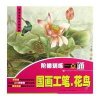 阶梯训练一点通：国画工笔、花鸟