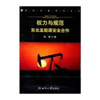 权力与规范：东北亚能源安全合作