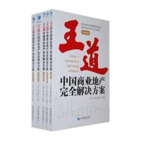 王道中国商业地产完全解决方案(共五卷)