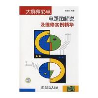 大屏幕彩电电路图解说及维修实例精华 9787508373140
