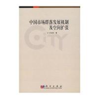 中国市场群落发展机制及空间扩张