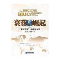 衰落与崛起：“金砖四国”构建新世界