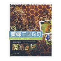 蜜蜂王国探奇