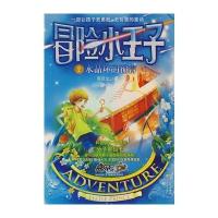 冒险小王子2：水晶环的预言