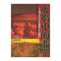 火焰中的翡翠：一个绿洲女子在吐鲁番的色彩旅行