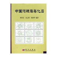 中国沟鞭藻类化石