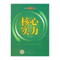 电网企业软实力丛书 核心实力