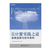 云计算实践之道：战略蓝图与技术架构 9787121116766