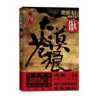 大漠苍狼：绝密飞行