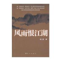 风雨恨江湖