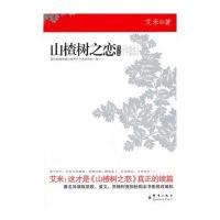 山楂树之恋 续篇：艾米