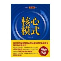 电网企业软实力丛书 核心模式