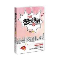 御姐驾到—史上彪悍剩女的麻辣生涯