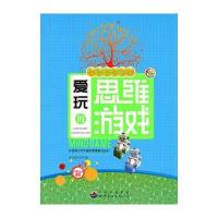 开拓青少年大脑的思维游戏:中国聪明孩子爱玩的思维游戏