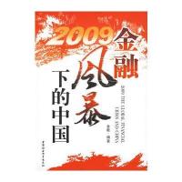 2009 金融风暴下的中国