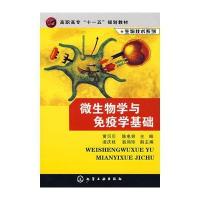 微生物学与免疫学基础(黄贝贝)