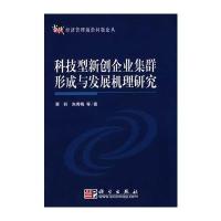 科技型新创企业集群形成与发展机理研究