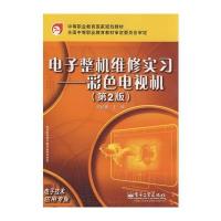 电子整机维修实习——彩色电视机(第2版)