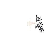 浴火凤凰 9787536693159