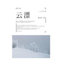 云漂 9787535449443