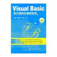 Visual Basic串口通信及编程实例(附光盘)(Visual Basic串口通信及编程入门和实例指导书)
