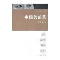 中国的前景--王东京经济观察