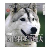 世界名犬驯养宝典－极地王子 西伯利亚雪橇犬