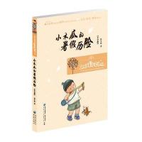 小木瓜的暑假历险--保冬妮儿童成长小说