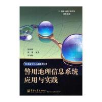 地理信息系统应用与实践 9787121133787