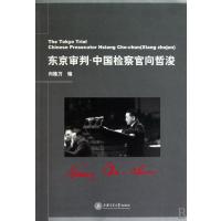 东京审判中国检察官向哲浚