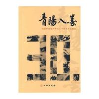 青阳入墨：纪念中国改革开放三十周年书画联展