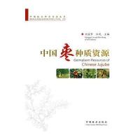 中国枣种质资源