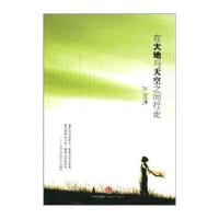 在大地与天空之间行走 9787508615141