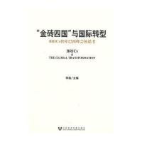 “金砖四国”与转型