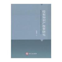 侵犯知识产权罪研究