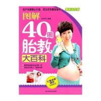图解40周胎教大百科