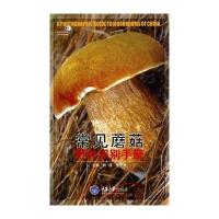 常见蘑菇野外识别手册