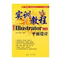 十一五规划实训教程：ILLustrator平面设计