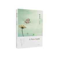 新世界:灵性的觉醒