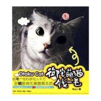 御宅萌猫钱一毛