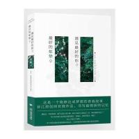 的年华，遇见的你 9787802519831
