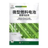 微型燃料电池原理与应用